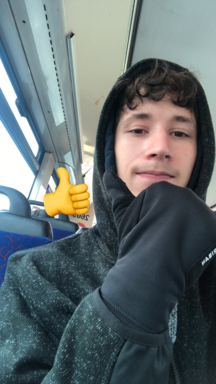 Profil de Almanzo, 18 ans, sex à Dignac