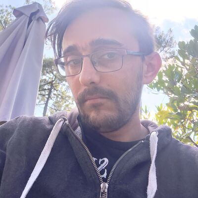 Profil de Vincenzo, 36 ans, sex à Arçay