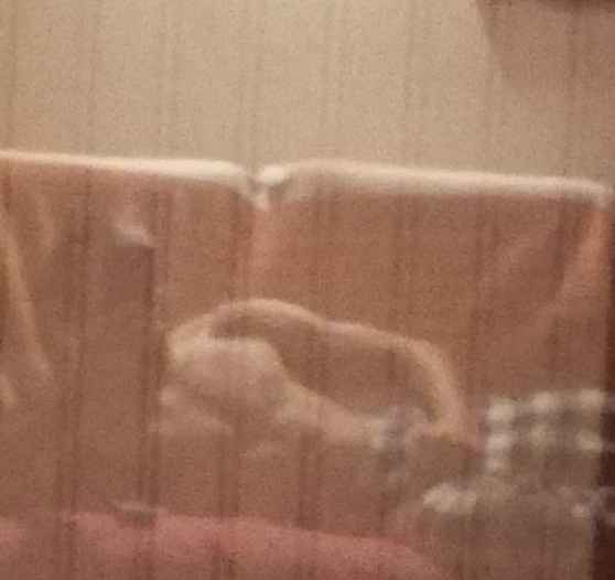 Profil de Charles-emile, 23 ans, sex à Tarquimpol